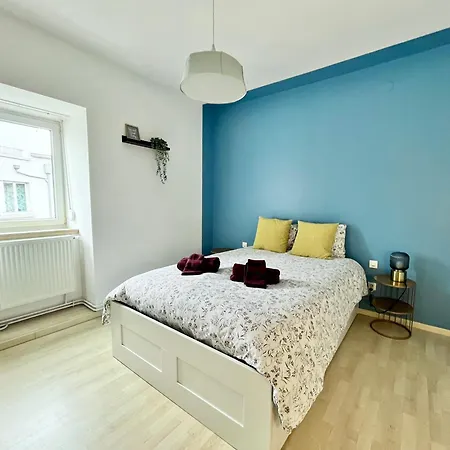 Le 1900 - Spacious & Charming Duplex - 3 Br コルマール