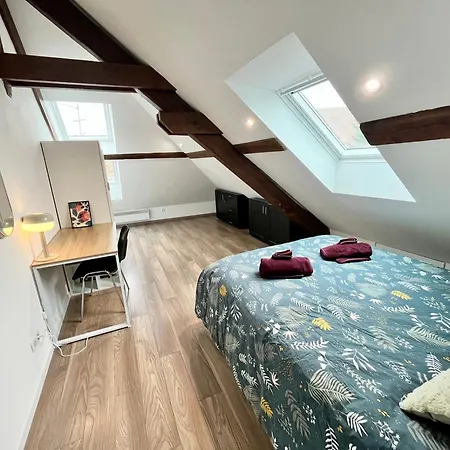 Le 1900 - Spacious & Charming Duplex - 3 Br * コルマール