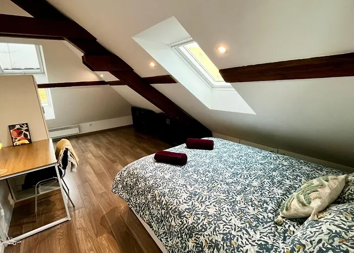 Family-friendly Duplex - Near Center - Free Parking - Wifi Colmar