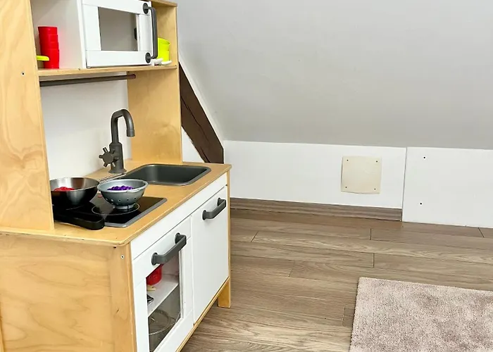 Le 1900 - Spacious & Charming Duplex - 3 Br * コルマール