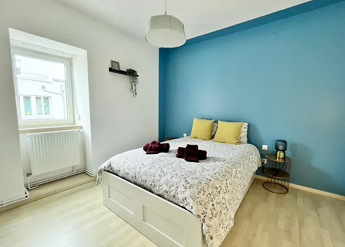 Le 1900 - Spacious & Charming Duplex - 3 Br コルマール