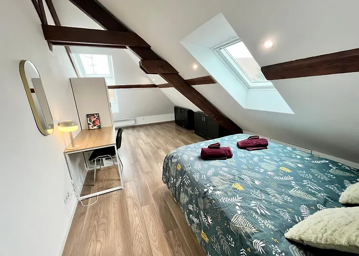 Le 1900 - Spacious & Charming Duplex - 3 Br * コルマール